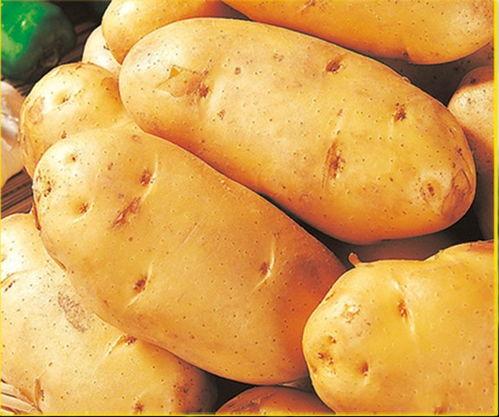 云水怒在线观看土豆网,激情燃烧的武侠世界等你探索  第2张