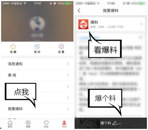 去哪里找爆料视频,探寻信息来源的神秘之旅
