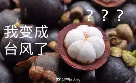 深圳爆料山竹事件视频,视频揭露惊人一幕