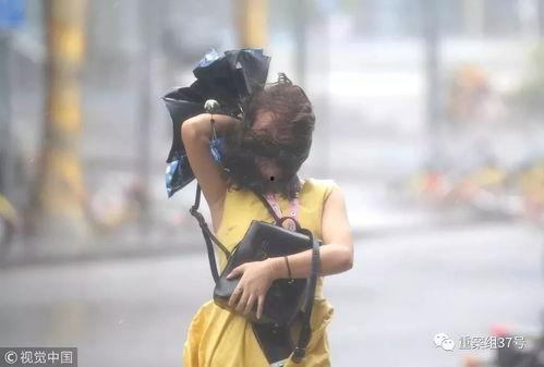 深圳爆料山竹事件视频,视频揭露惊人一幕  第3张