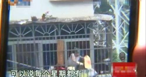 吃瓜爆料小区邻居视频,视频爆料引发热议 第3张 吃瓜爆料小区邻居视频,视频爆料引发热议 第3张