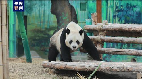 娱乐吃瓜酱动物园,揭秘娱乐圈背后的趣味故事  第3张