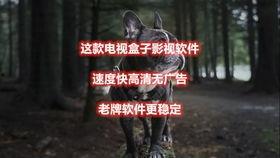 王导直播狗仔爆料视频大全,狗仔爆料视频大全精彩瞬间大盘点  第3张