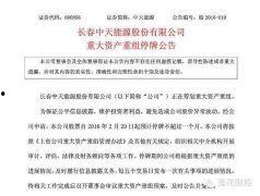 王亚伟最新爆料,揭秘行业内幕与投资新动向  第3张