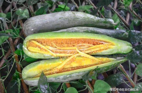 纹身店的网红吃瓜,揭秘娱乐圈幕后真相  第2张