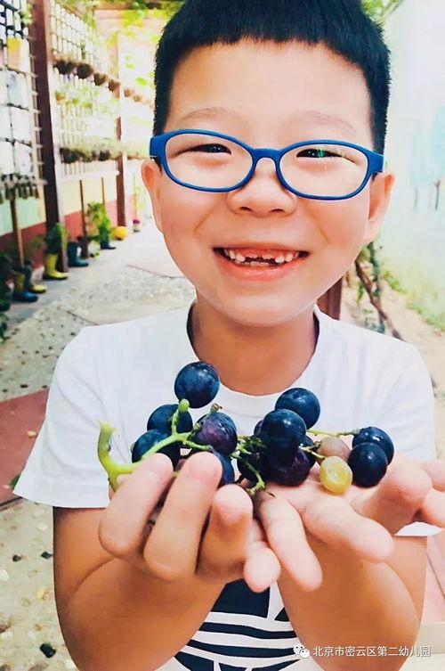 爱的果实三邦在线观看,三邦在线情感之旅  第2张