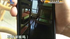 爱的果实三邦在线观看,三邦在线情感之旅  第3张