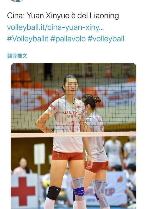 辽宁女排爆料视频最新,揭秘幕后训练与备战细节  第3张