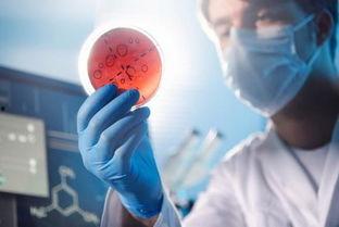 人体蚁穴在线观看,揭秘人体内部神秘世界的在线探秘之旅  第3张