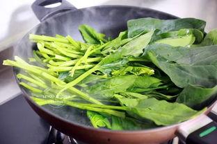 青菜爆料视频大全集播放,揭秘幕后真相，带你领略网络风云  第3张