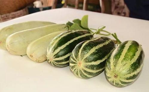 免费吃网红瓜的,免费吃网红瓜的幕后真相