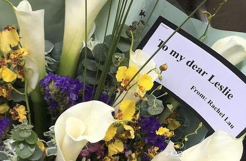 小丑鱼爆料老杜视频大全,揭秘背后惊人内幕  第3张