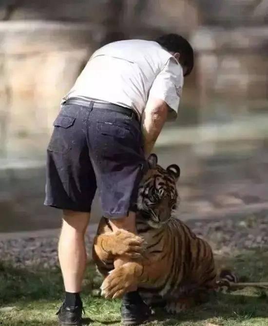 娱乐圈爆料老虎哥是谁,老虎哥身份大起底，真相令人震惊！  第2张