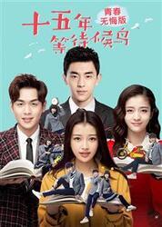 十五年等待候鸟在线观看,青春记忆里的爱情长跑  第2张