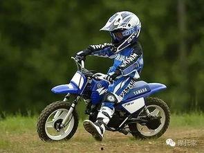 爆料爱骑摩托车视频在线观看,爱骑摩托车视频在线观看，尽享速度与激情  第2张