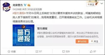 柯基狗最新爆料,揭秘网红宠物的日常生活与趣事