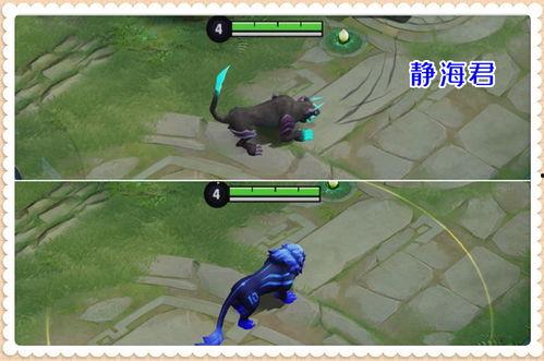 老虎新皮肤最新爆料,炫酷特效，神秘背景，带你领略东方之美