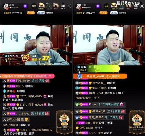 小洲被人爆料视频大全最新,揭秘网络爆料背后的真相与争议  第3张