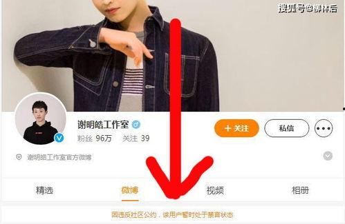 jj最新爆料,揭秘娱乐圈最新动态与幕后真相！”  第2张