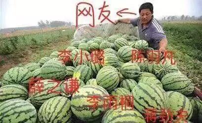 娱乐吃瓜公司有哪些,盘点热门吃瓜公司背后的故事  第3张