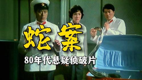 女侦探在线观看,揭秘迷雾重重，探寻真相之旅  第2张