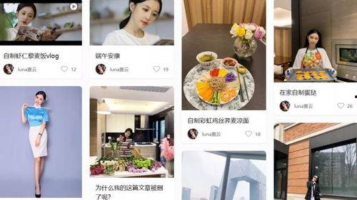 官宣结婚爆料视频大全最新,最新结婚爆料视频大盘点