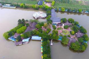 广州农庄爆料视频播放,揭秘真实农庄生活与生态农业魅力 第2张 广州农庄爆料视频播放,揭秘真实农庄生活与生态农业魅力 第2张