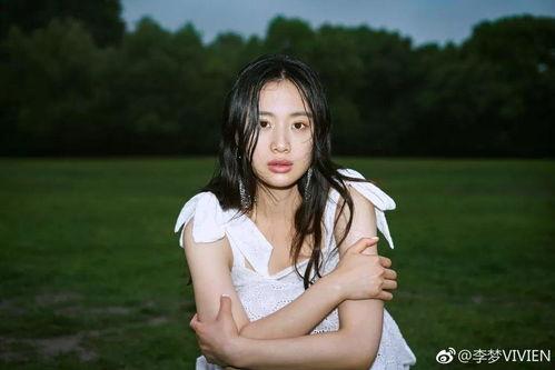 李梦事件爆料视频完整版,真相与争议交织的舆论风暴  第2张