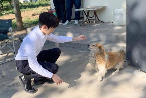 王源娱乐圈最新爆料事件,最新爆料事件引发热议  第3张