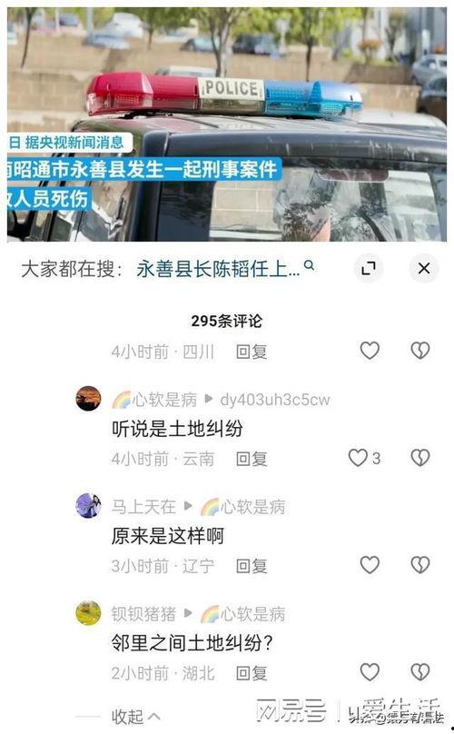 云南永善爆料案件最新,真相揭开，疑云散去，正义终至  第2张