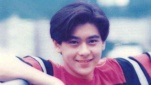 林志颖绯闻爆料视频大全,真相与谣言的交织  第2张