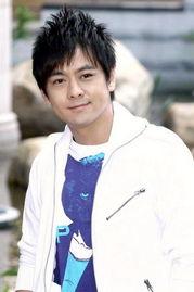 林志颖绯闻爆料视频大全,真相与谣言的交织  第3张