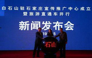 石家庄天天爆料新闻报道,聚焦城市热点，解码民生故事