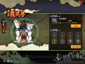 火影忍者手游紫狗爆料视频,火影忍者手游新内容前瞻