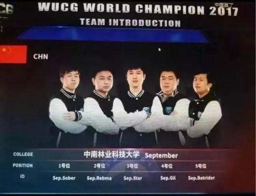 新闻大爆料全部,揭秘热点事件背后的真相与内幕