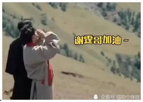 娱乐圈爆料姐弟恋情小说,揭秘明星姐弟恋的甜蜜与争议  第2张