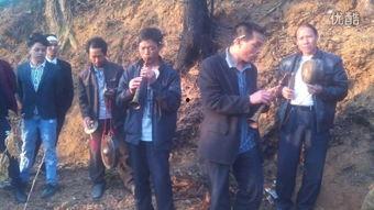 特区爱奴在线观看酷,在线观看，揭秘都市情感纠葛