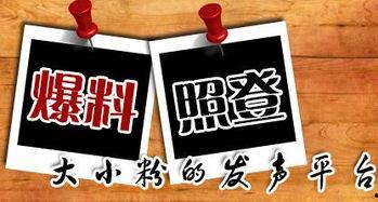 重庆涂先生最新爆料,揭秘XX事件背后真相