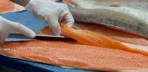 三文鱼最新爆料视频,揭秘幕后真相与惊人内幕