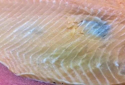 三文鱼最新爆料视频,揭秘幕后真相与惊人内幕  第2张