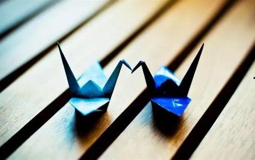 千纸鹤最新爆料图片高清,揭开神秘面纱，一睹风采  第2张