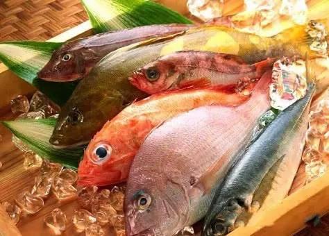 臭鱼烂虾爆料视频下载免费,臭鱼烂虾爆料背后的真相与启示  第2张