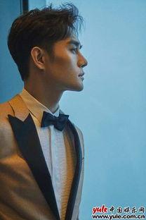 重点爆料王凯视频合集,揭秘明星幕后故事与精彩瞬间  第3张