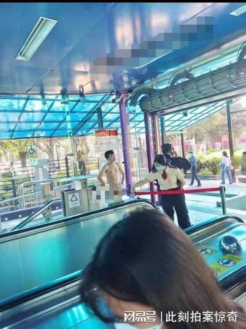 广州番禺爆料事件视频,视频揭露惊人真相