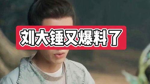 刘大锤爆料过啥综艺啊视频,揭秘热门节目幕后故事