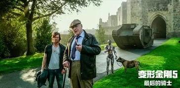 最后骑士5在线观看  第3张
