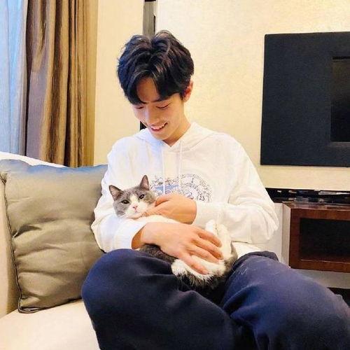 肖战最新朋友圈爆料,新作品筹备中,期待与粉丝共享喜悦 第2张 肖战最新朋友圈爆料,新作品筹备中,期待与粉丝共享喜悦 第2张