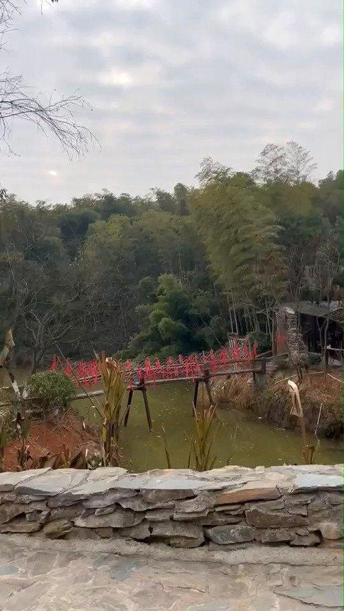 花溪新闻爆料网最新消息 第2张 花溪新闻爆料网最新消息 第2张