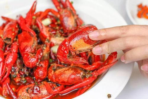 小虾爆料最新消息,最新热点事件深度解析