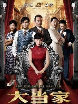 大当家电视剧全集在线观看,揭秘家族风云，传承家国情怀
